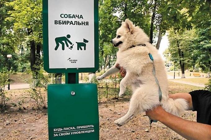 Шість вбиралень для песиків – приїхали до Вінниці
