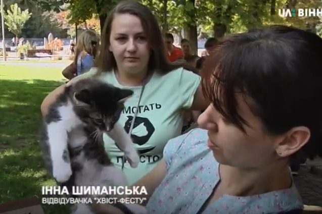 У День незалежності в центрі Вінниці волонтери шукали домівки безпритульним тваринам
