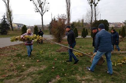 Вінницькі перевізники висадили платани в «офісі просто неба» Вінницькі перевізники висадили платани в «офісі просто неба»