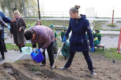 На вулиці Волошковій висадили 1 000 тюльпанів