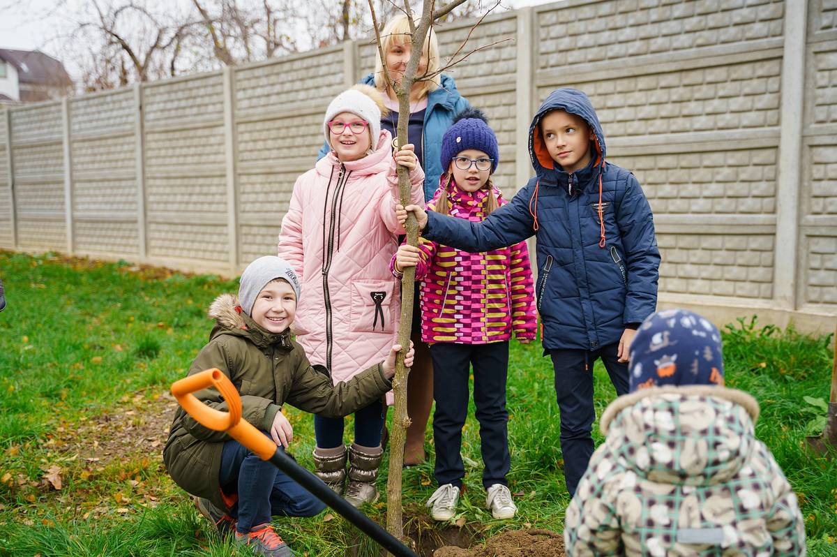 Вінницькі школи долучилися до акції «Посади дерево – збережи довкілля»