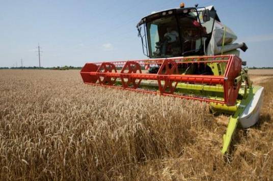 На Вінниччині зібрано понад 2 млн. тонн ранньої групи зернових та зернобобових 