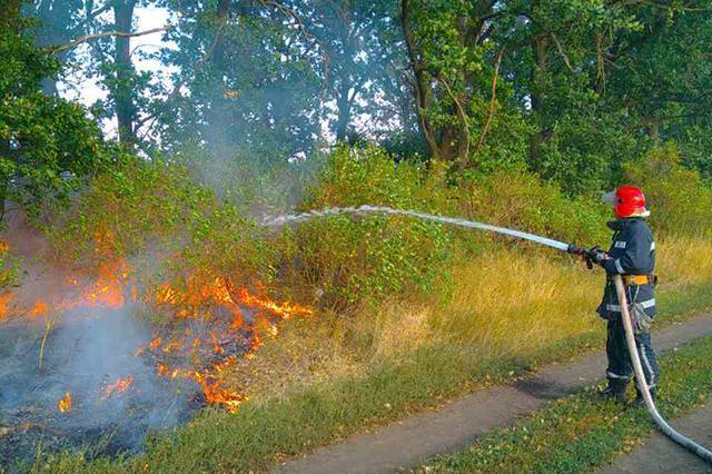 Вінницькі рятувальники чотири рази за добу ліквідовували пожежі в екосистемах області