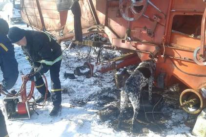 На Вінниччині рятувальники визволяли чотирилапого «горе-комбайнера»