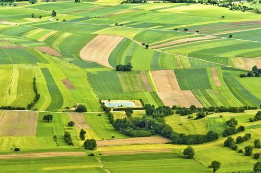 На Вінниччині майже 15 тисяч учасників АТО отримали дозволи на користування земельними ділянками