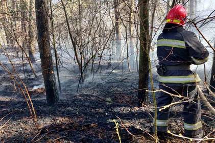 Люди, зупиніться!!! Головний пожежник Вінниччини закликає громадян припинити пожежі в екосистемі Люди, зупиніться!!! Головний пожежник Вінниччини закликає громадян припинити пожежі в екосистемі