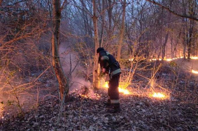 6 пожеж за добу: вогонь знищив понад 3,5 гектари екосистем Вінниччини 