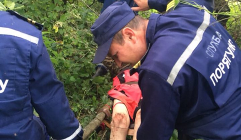 У Вінницькому районі знайшли чоловіка, який пішов по гриби і зник