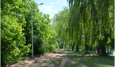 Розпочався капітальний ремонт зони благоустрою по вулиці Гладкова