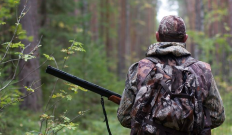 4 серпня на Вінниччині відкривається сезон полювання на пернату дичину