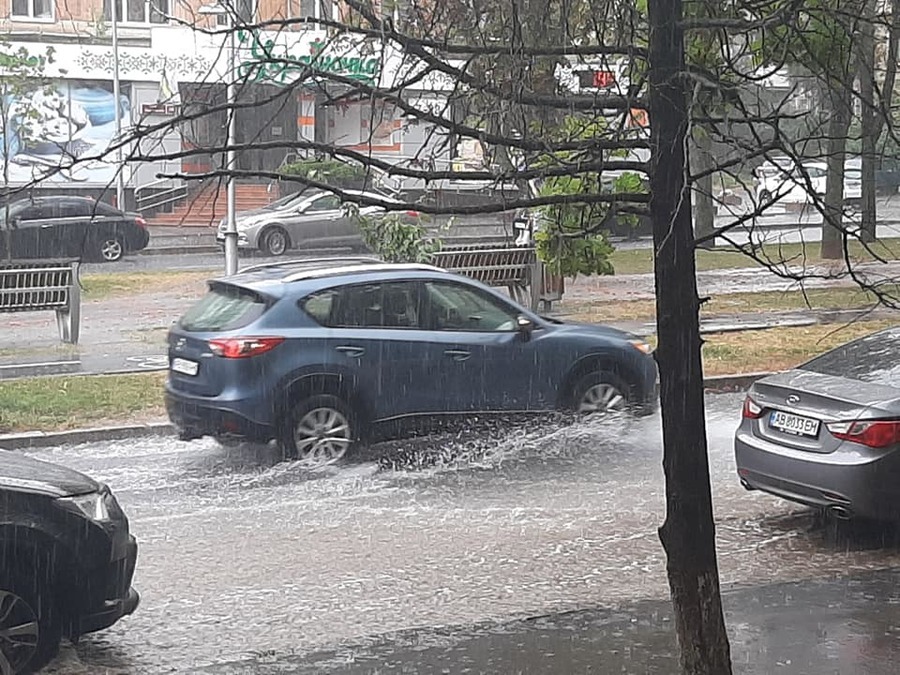 На вул. Пирогова дерево впало на тролейбус