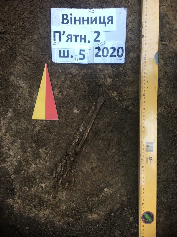 На території П'ятничанського лісу  археологи знайшли  курганний могильник та середньовічне поселення