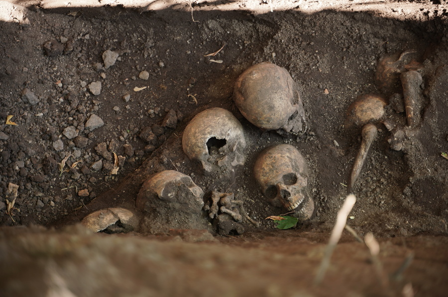 У Вінниці розкопали найбільше на території України поховання вояків Галицької армії