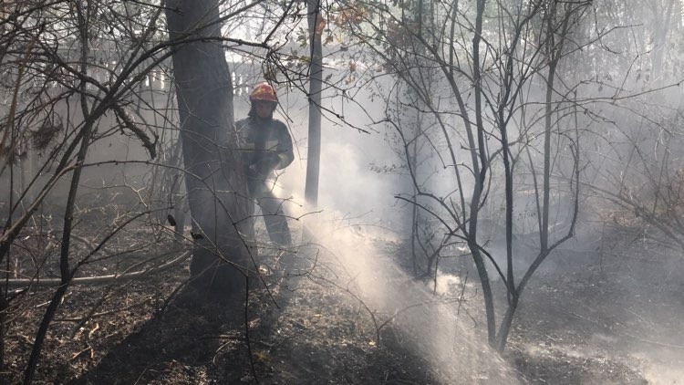 Пожежа біля Стрижавки: вогонь знищив близько 3,5 га трави