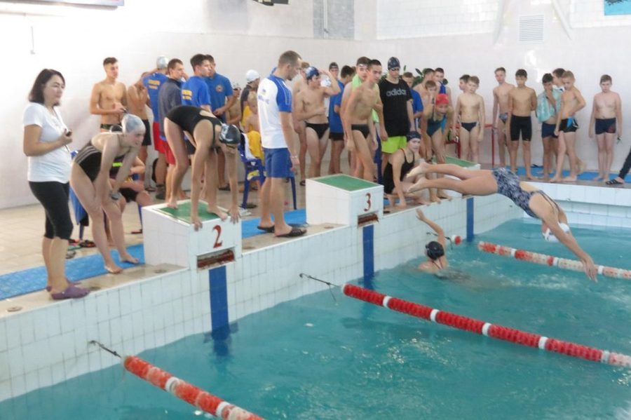 В басейні Палацу дітей та юнацтва відбувся Кубок області з плавання