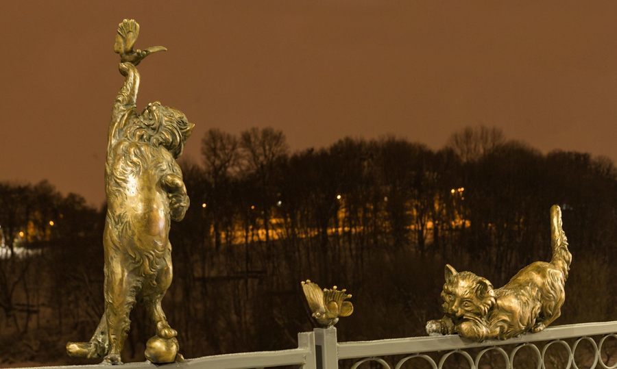 На Київському мосту "оселились"  незвичні тваринки
