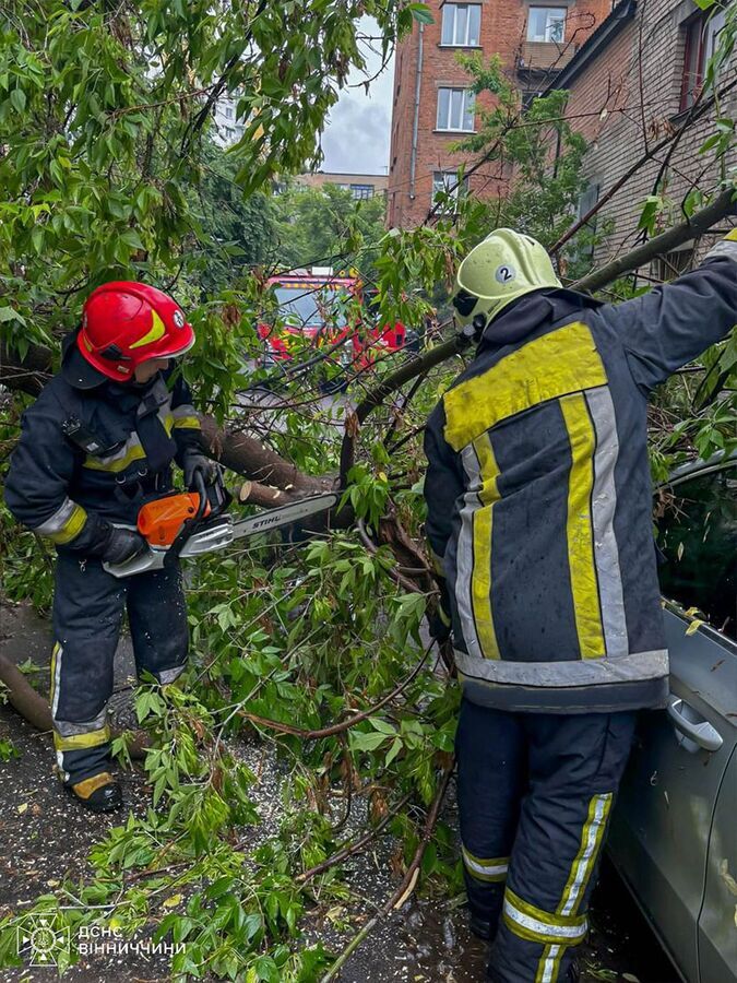 На Вінниччині внаслідок негоди попадали дерева