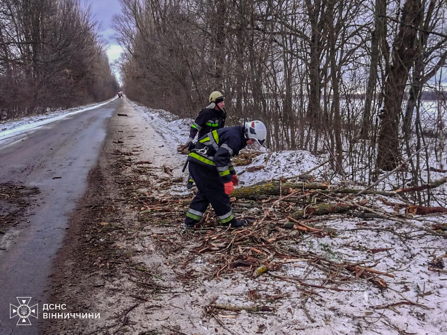 На Вінниччині рятувальники ліквідували наслідки негоди