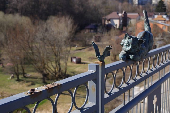 5 тисяч гривень від мерії за допомогу у виявленні крадіїв скульптури кота, викраденої з Київського мосту