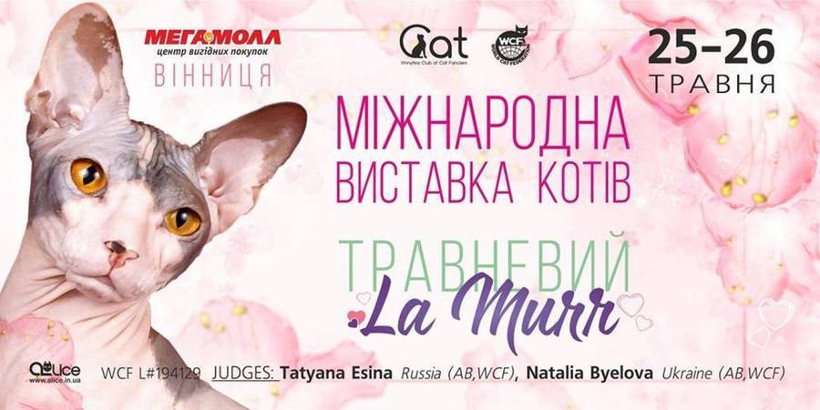 «Травневий La Murr»: у Вінниці відбудеться Міжнародна виставка котів