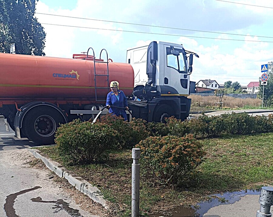 У селищі Десна висадили нові декоративні рослини У селищі Десна висадили нові декоративні рослини