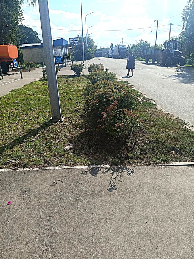 У селищі Десна висадили нові декоративні рослини У селищі Десна висадили нові декоративні рослини