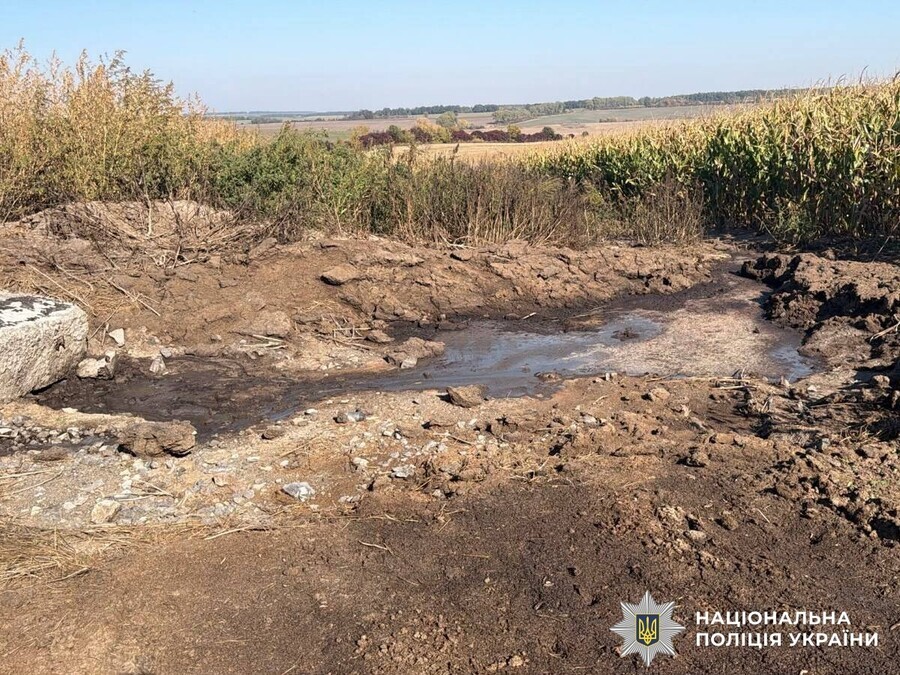 На Вінниччині фермерське господарство підозрюють у захороненні мертвих тварин на полях