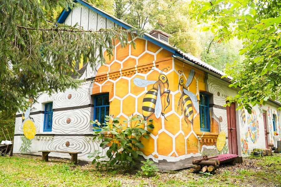 Літня екологічна школа у Вінниці об’єднала дітей і родини захисників