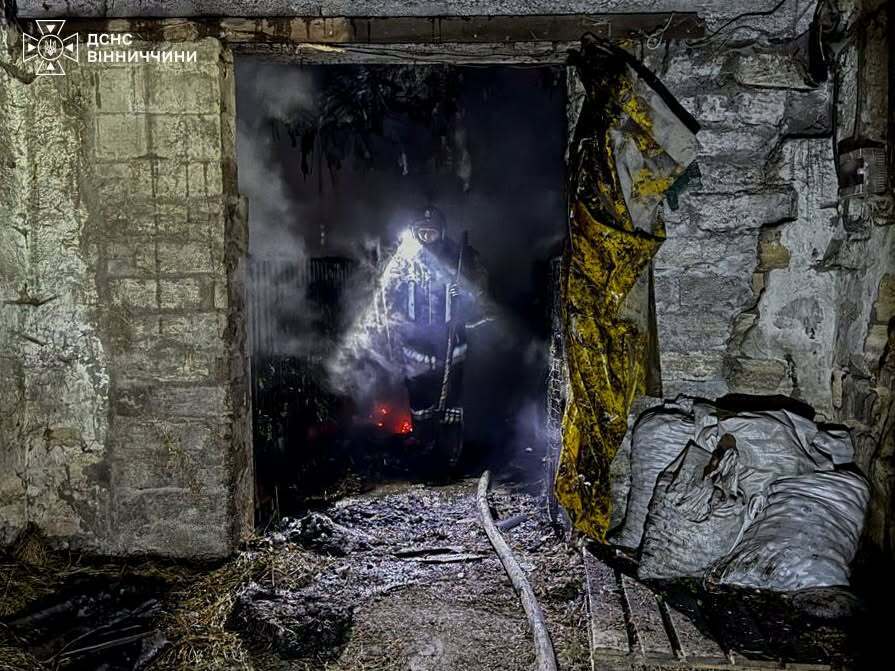 На Вінниччині горіла свиноферма: рятувальники врятували 20 свиней
