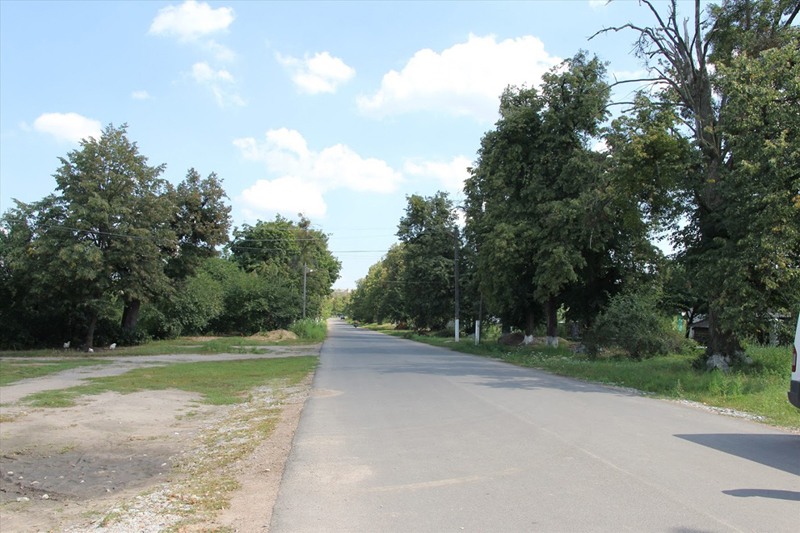Квітка на камені – Дашівська селищна ОТГ розповіла про свої здобутки