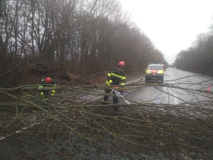 Повалені дерева та "зірвані" дахи: на Вінниччині рятувальники ліквідовують наслідки буревію