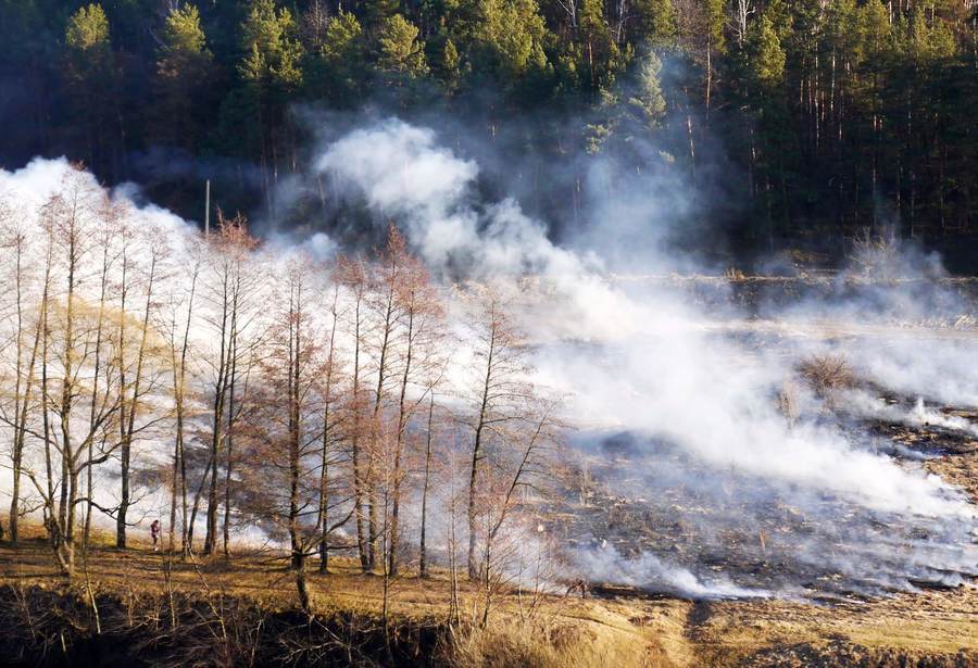 Люди, зупиніться!!! Головний пожежник Вінниччини закликає громадян припинити пожежі в екосистемі