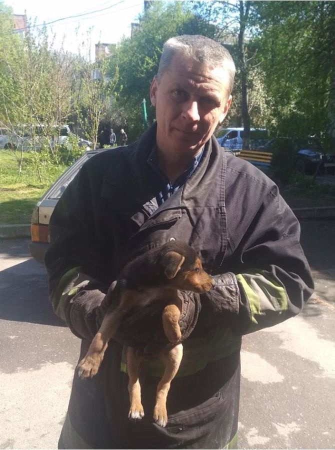 Операція порятунок малюків: у Вінниці з пасток діставали тварин