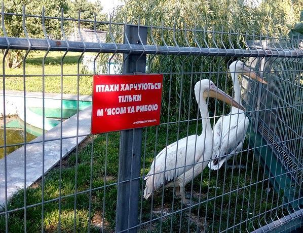 Червонокнижні мешканці Подільського зоопарку знайшли опікунів