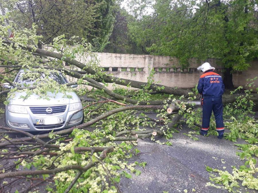 На вулиці Пирогова на автівку впало дерево