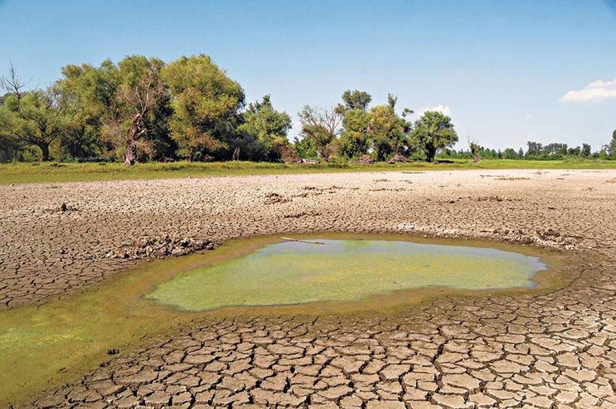 Через посуху Україні загрожує нестача питної води