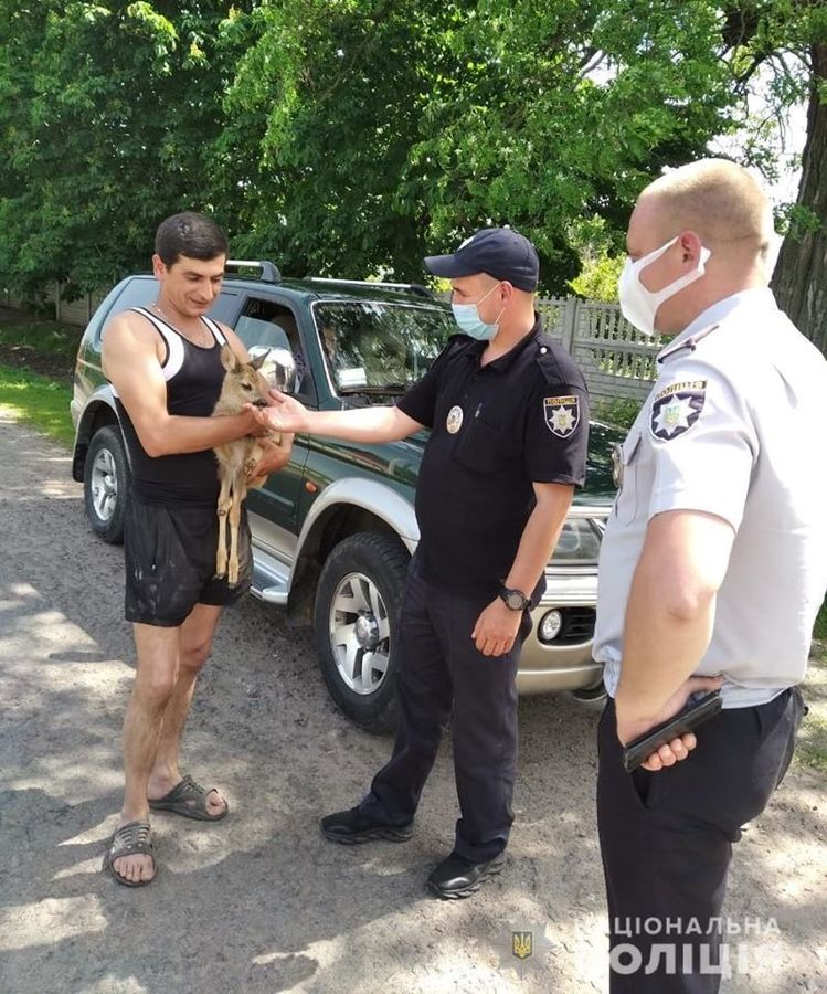 На Вінниччині поліцейські знайшли маленьку козулю 