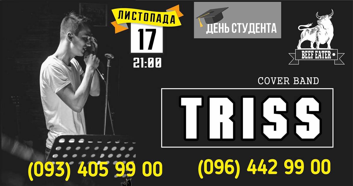 Кавер-бенд "Triss"