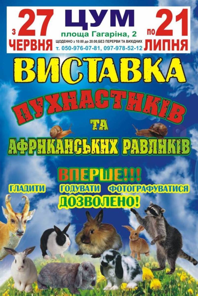 Виставка пухнастиків та африканських равликів 