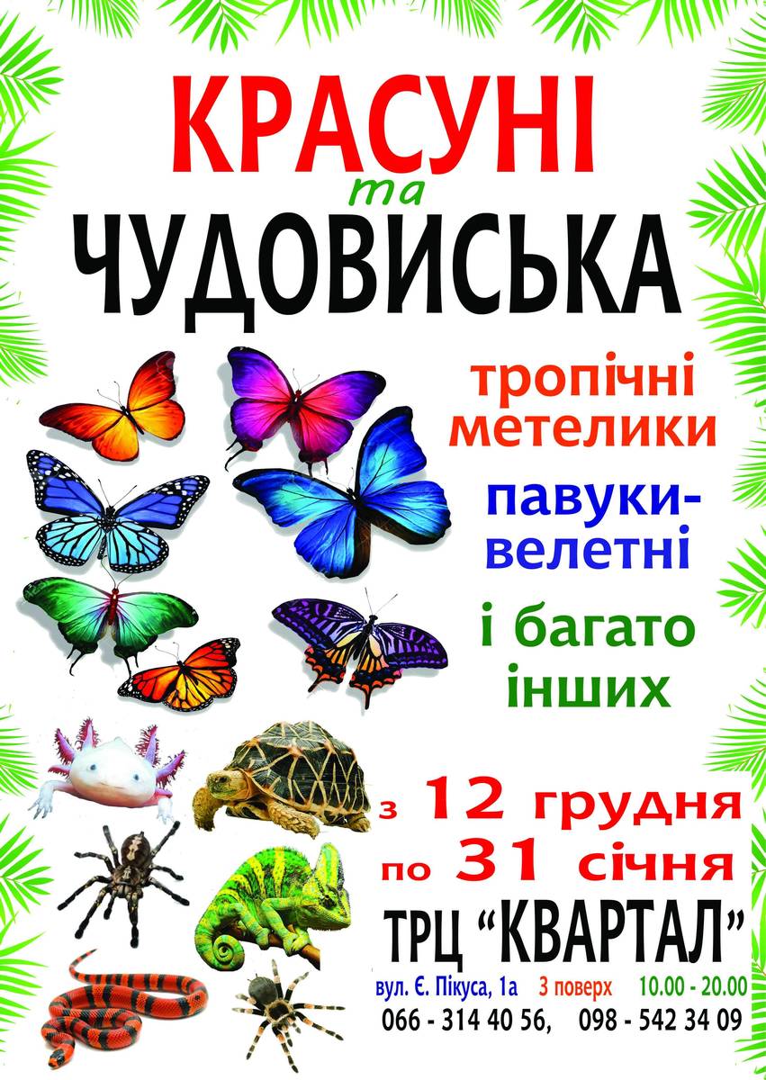 Виставка екзотичних тварин "Красуні та чудовиська"