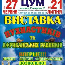 Виставка пухнастиків та африканських равликів 