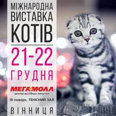 Міжнародна виставка котів 