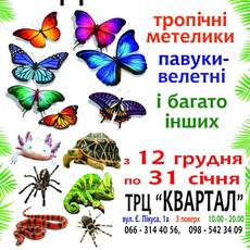 Виставка екзотичних тварин "Красуні та чудовиська"