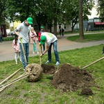 Сквер біля Вежі засадили екзотичними деревами