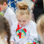 Як у Вінниці відзначили День вишиванки