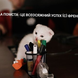 “Йшов четвертий тиждень карантину”. Як мотивувати себе до роботи