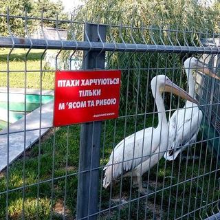 Червонокнижні мешканці Подільського зоопарку знайшли опікунів