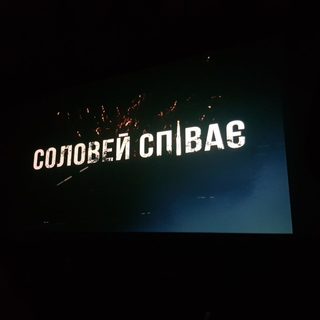 Засновниця свята Всесвітній День Вишиванки проведе пряме включення з вінничанами