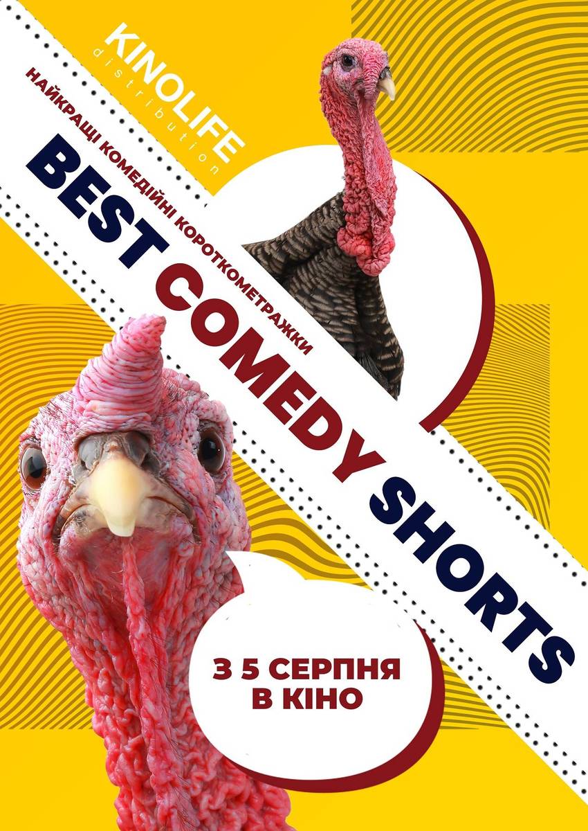 Best Comedy Shorts